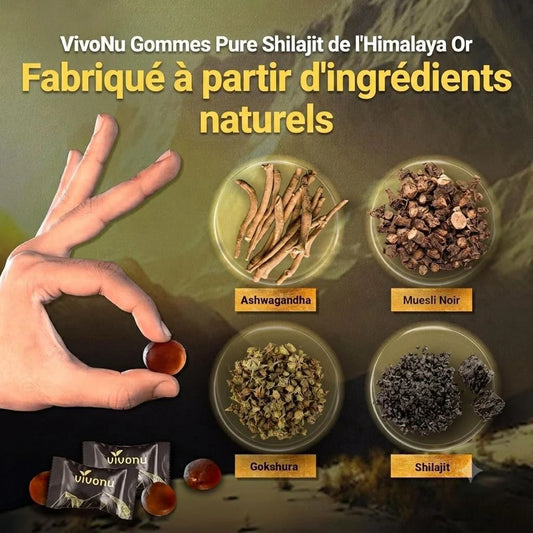 Shilajit Gummies — Plus d'énergie. Plus de vitalité. Chaque jour.