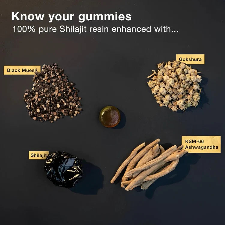 Shilajit Gummies résultats